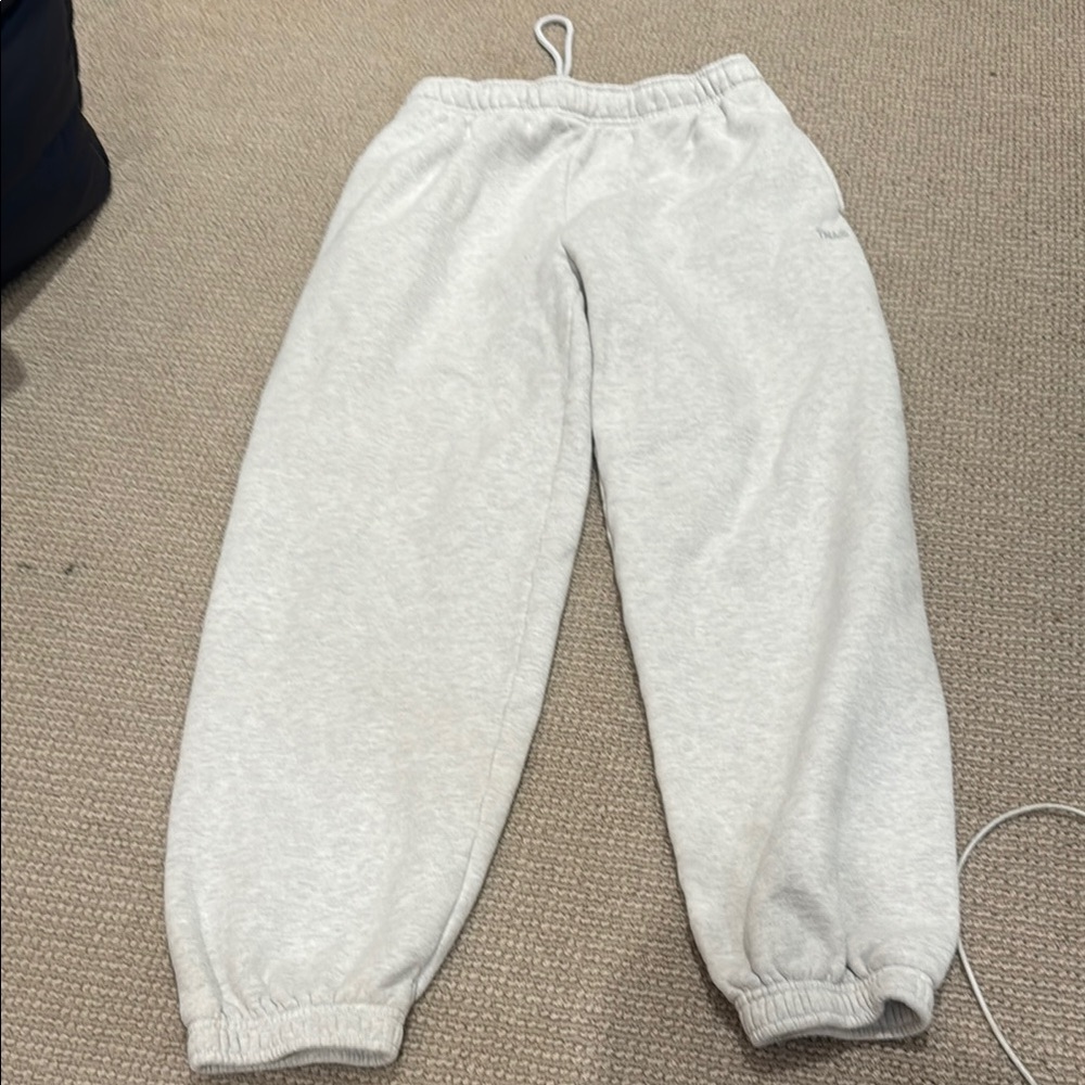 Aritzia TNA Gray Sweatpants